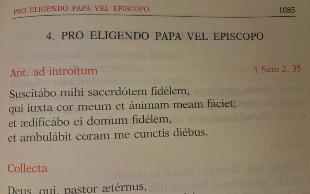 Propositions liturgiques pendant et après le conclave